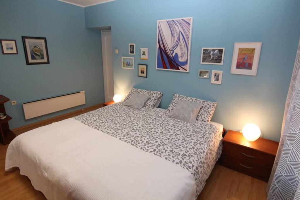 Fast Friend - Cozy Apartment In The Center With Private Garage Риека Экстерьер фото